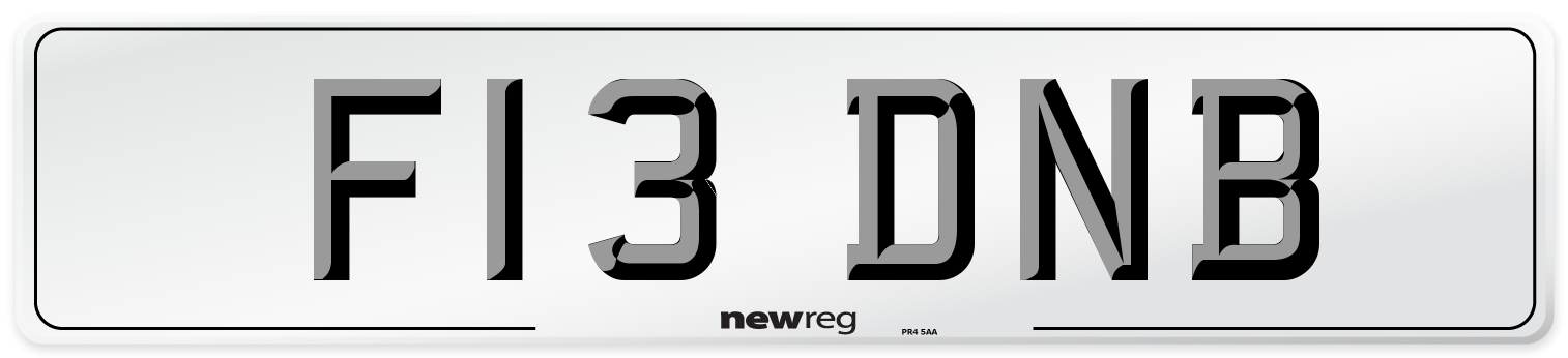 F13 DNB Number Plate from New Reg